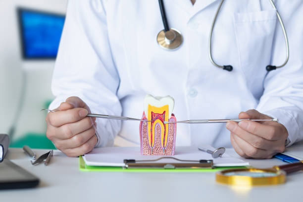 Best Emergency Tooth Extraction in Center Point, NM